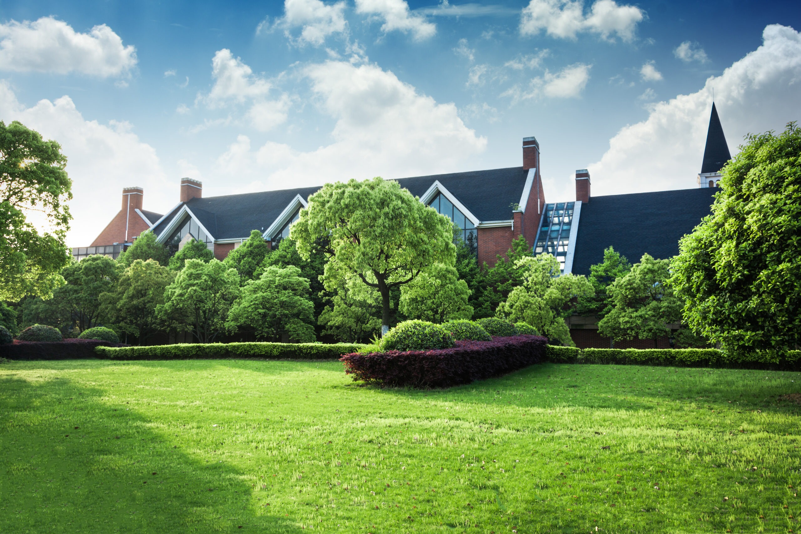 Green lawn with clean edging and professional landscaping in Smyrna, GA by All Pro Landscaping.